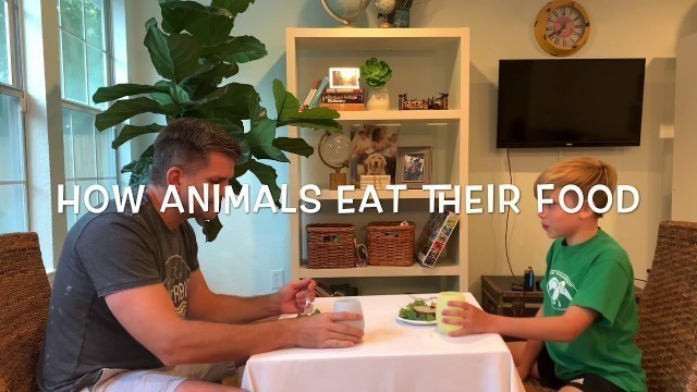 'How Animals Eat Their Food!!!!'