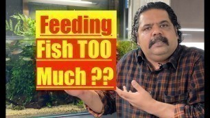 'How not to Over Feed your Aquarium Fish | Mayur Dev\'s Tips for better Fish Keeping | Healthy Fish'