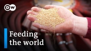 'Food security - A growing dilemma | DW Documentary'