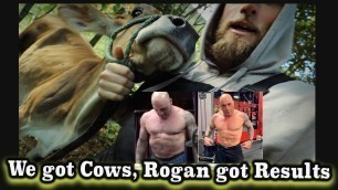 'We got some Cows + Joe Rogan got crazy CARNIVORE diet results'