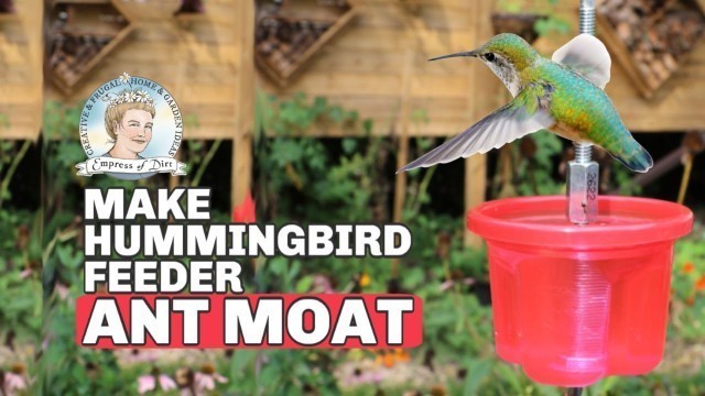 'Ants on Your Hummingbird Feeder? This DIY Moat Will Stop Them'