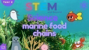 'Marine Food Chains | KS1 Science For Kids Year 2 | STEM Home Learning'