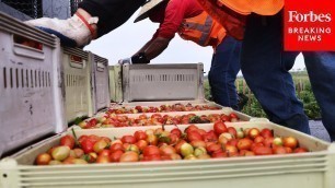 'GOP Rep Rattles Off All The Food California Makes As He Pushes For Water Storage Help'