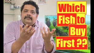'New Fish | New Aquarium | Which fish to buy First | Mayur Dev\'s Fish keeping Tips HD1080p'