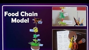 'Food chain model | science project | Kids Creativity | Yummy Ideas | Eshaal fatima'