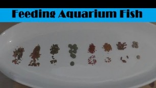 'What is the best aquarium fish food?'