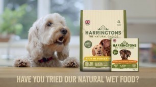 'Harringtons TV Advert 2021 - 30 seconds'