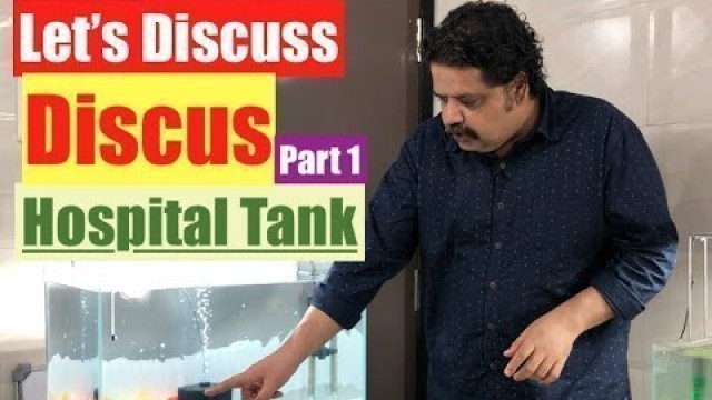 'Discus Fish, King of Freshwater Aquarium | How to setup Discus hospital tank | How to discus fish'