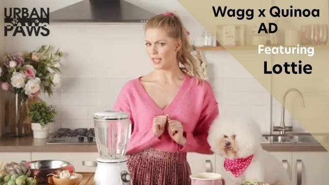 'Wagg x Quinoa - Dogs aren\'t people advert featuring Lottie'