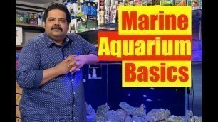 'Basics of a Marine Aquarium | Mayur Dev\'s Tips for Keeping Healthy Saltwater Reef Aquarium  HD 1080p'