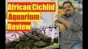 'African Cichlid  Natural Aquarium Review | Mayur Dev Tips on Fish Keeping |    HD 1080p'