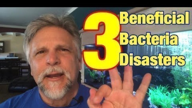 '3 Beneficial Bacteria Disasters! [Tips that can Save Your Tank!]'