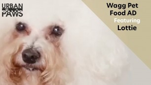 'Wagg Pet food advert featuring Lottie'