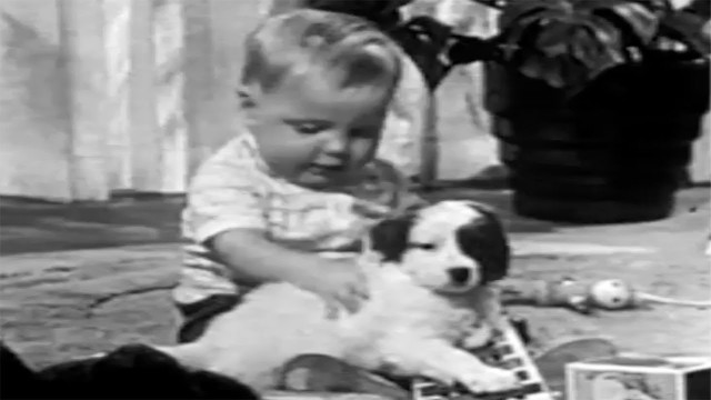 '\'Ken-L Ration\' Insane Dog Food Commercial | 1959 Classic Television Advert'