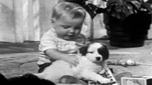 '\'Ken-L Ration\' Insane Dog Food Commercial | 1959 Classic Television Advert'