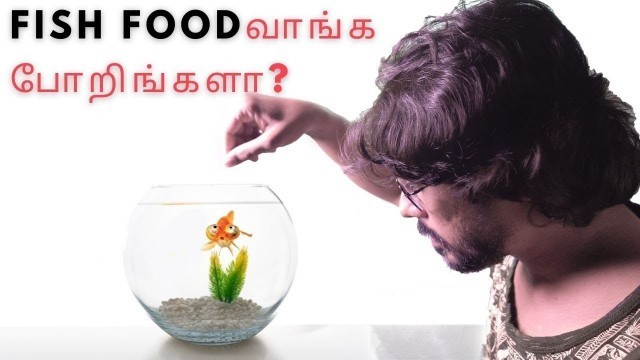 'FEEDING ALL MY FISHES | HOW TO CHOOSE FOOD FOR YOUR FISH | TAMIL | EP 193'