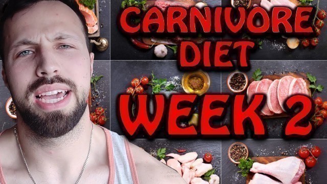 'CARNIVORE DIET: Week 2 on CARNIVORE (14 days)'