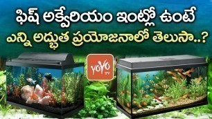 'Advantages of Keeping Fish Aquarium in House | Vasthu Tips in Telugu | YOYO TV Channel'