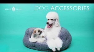 'Bone Idol TV Advert -We Love Dogs - Brighton Dog Grooming & Online shopping'