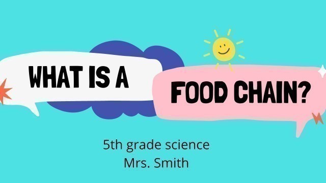 'What is a Food Chain? Quick science for kids. 5th Grade Science, 4th Grade Science'