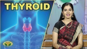 'Thyroid Diet for Weight Loss | Nutrition Diary | Adupangarai | Jaya TV'