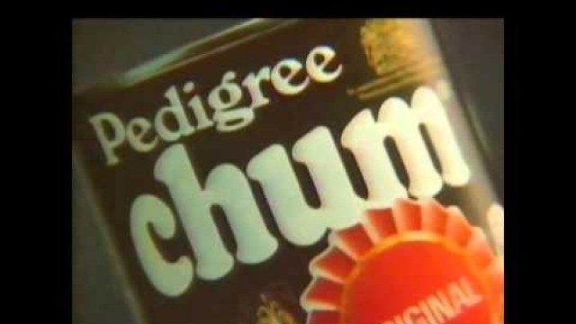'Pedigree Chum dog food advert from the eighties'