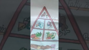 'the food piramid drawing'