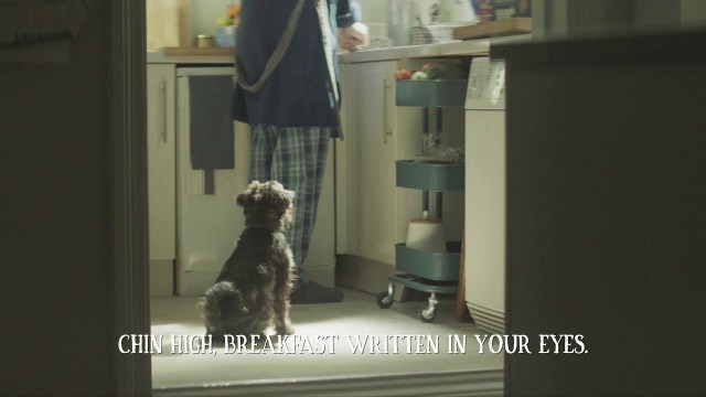 'Butcher\'s Food For Dogs 2021 TV Advert - Everyday Recipes'