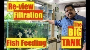 'The Big Tank Review- 1000 litre Aquarium | Mayur dev Tips- Filtration, Feeding Fish, Nature Aquarium'