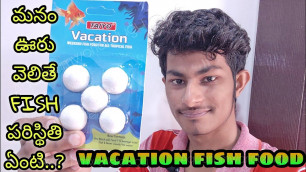 'How to use Vacation Fish Food in telugu | How to care Fish in vacation telugu | Holiday FishFood'
