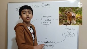 'Food Chains | Quick learning for kids | Science for kids | Flow of energy | Plants and Animals'