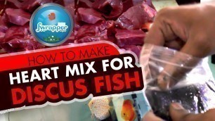 'HOW TO : Heart Mix for Discus Fish || How to feed Discus Fish || Fish Food || DIY'