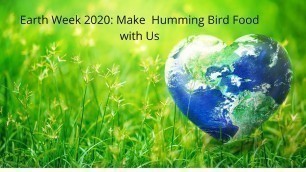 'Earth Week 2020: How to Make Hummingbird Food'