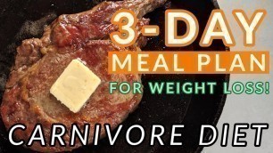 '3-Day Carnivore Diet Meal Plan FOR WEIGHT LOSS!'