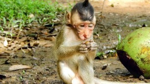 'Pity Baby Pingkys Trying Food In Pain, Wish Him Got Better Soon My Poor Baby, Monkey Share'