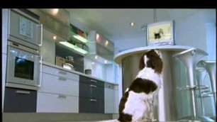 'Wagg Pet Foods - TV Advert'