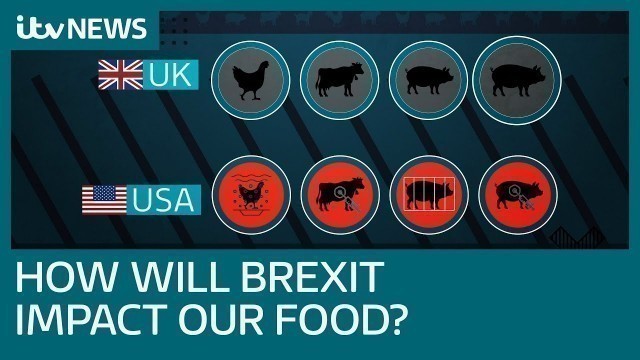 'Brexit: What could it mean for animal welfare and the food we eat? | ITV News'