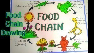 'food chain drawing for school project//how to draw food chain diagram #foodchaindiagram#schoolprojec'