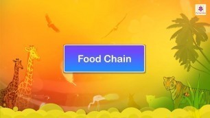 'Food Chain | Science Video For Kids | Periwinkle'