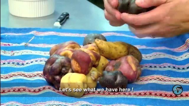 'Peru: The Food Revolution - UN Stories'