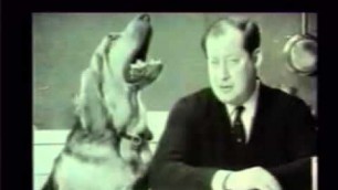 'Sir Clement Freud 1924 2009 with his famous Dog Food Advert featuring Henry the dog'