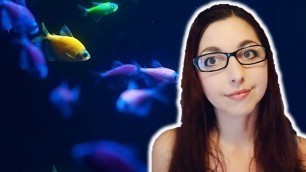 'The Good, The Bad, And The Truth About GloFish | GloFish Care Guide Series Ep.1'