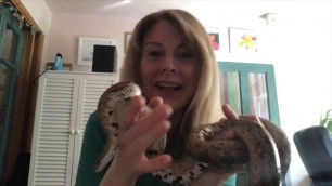 'Food chains! Bitesize science for kids, featuring Cornelius the Corn Snake'