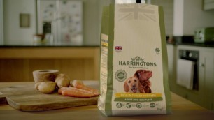 'Harringtons TV Advert 2017'