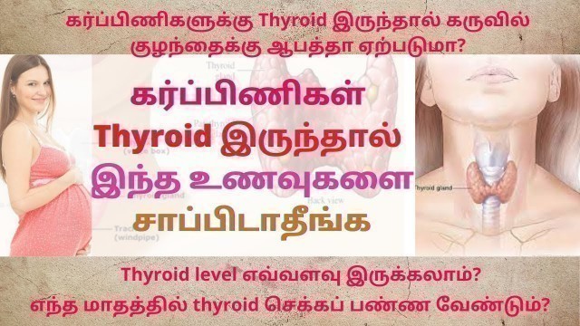'thyroid during pregnancy | thyroid levels in pregnancy | thyroid levels during pregnancy |'