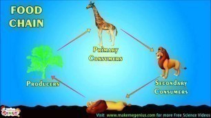 'Food Chains , Food Webs , Energy Pyramid - Education Video for kids by makemegenius.com'