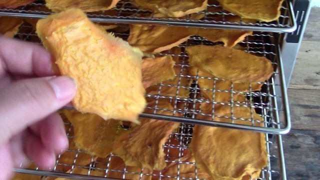 'DRIED FRUIT - 100% Organic Dried Mango in the Food Dehydrator Machine | Homemade Natural Snack'