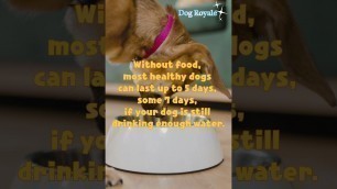 'How Long Can A Dog Go Without Eating'