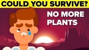 'How Long Can You Survive If All The Plants In The World Die?'