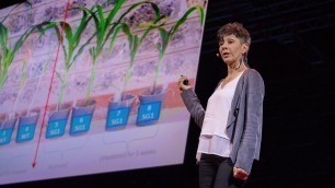 'How we can make crops survive without water | Jill Farrant'